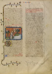 Die Erschaffung von Vögeln und Fischen